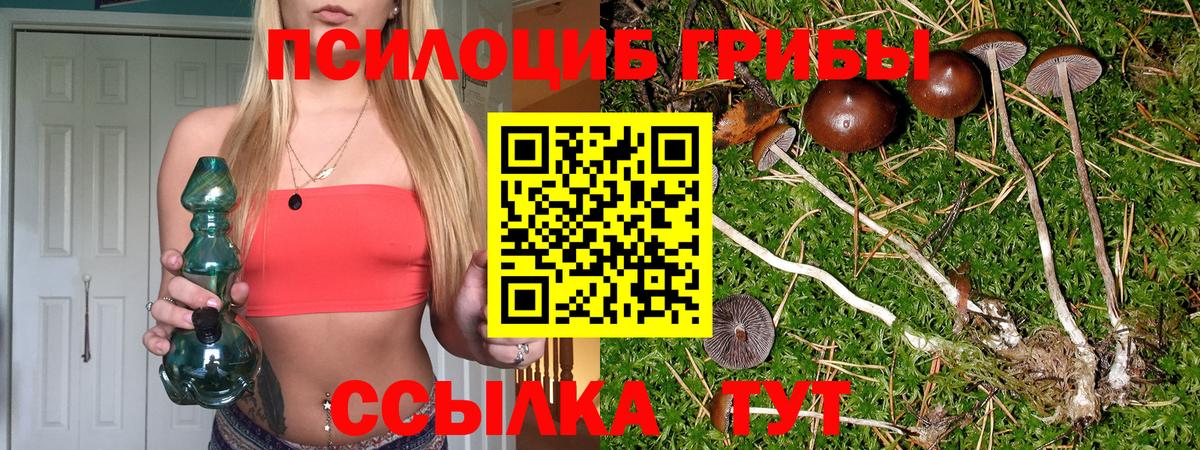Галлюциногенные грибы мицелий  Вход с VPN  Псилоцибиновые грибы Magic Shrooms  магазин  наркотиков  Магадан 